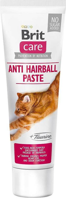 big_brit-care-cat-pasta-antihairball.jpg