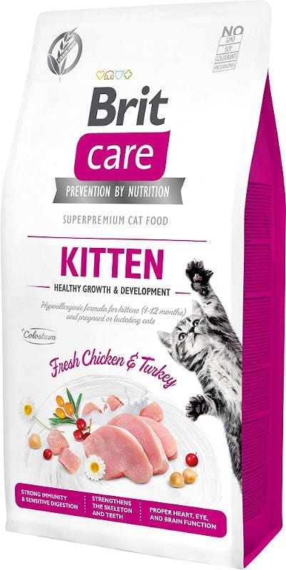 big_brit-care-cat-kitten.jpg