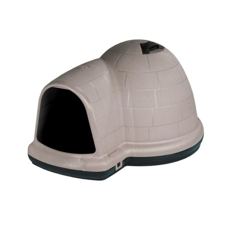 Igloo.jpg