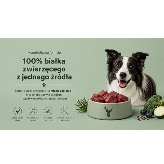 Boldore - karma sucha mokra 1.jpg