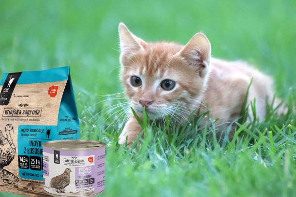 Wiejska Zagroda - karma, którą pokocha Twój kot